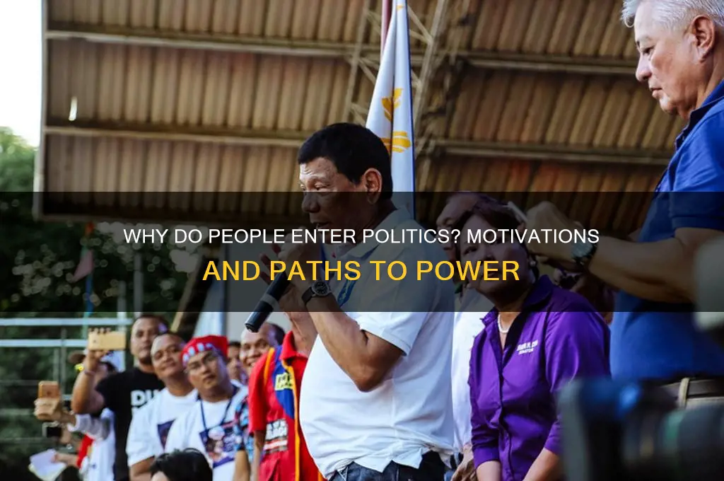 who enters politics and why