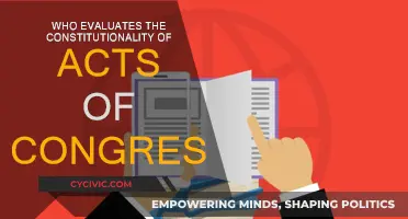 The Supreme Court: Evaluating Constitutionality of Congress Acts