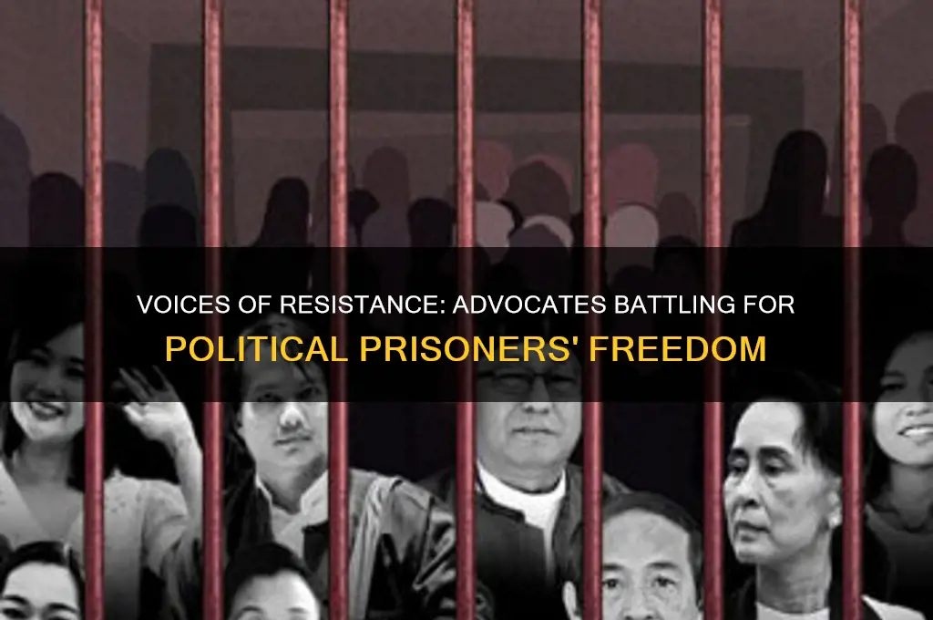who fights for political prisoners