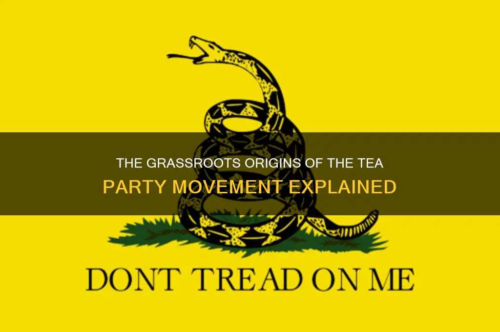 who formed the base of the tea party political movement