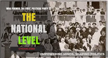 The Birth of National Politics: Who Formed the First Political Party?