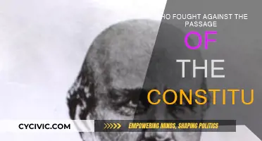 The Anti-Federalists: Constitution Opposition