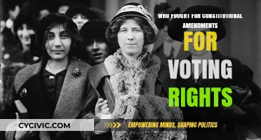 Fight for Voting Rights: Constitutional Amendments Champions