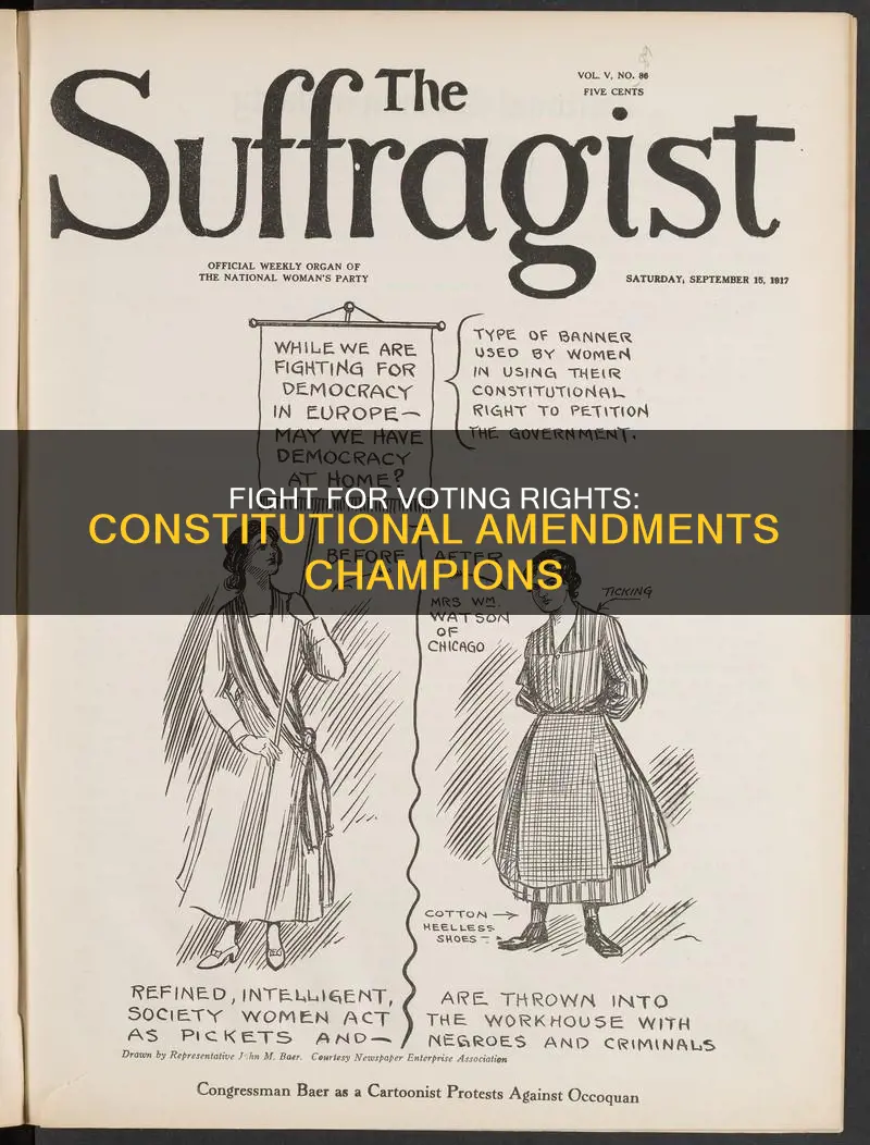 who fought for constitutional amendments for voting rights