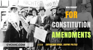 Fight for Freedom: Constitutional Amendments Champions