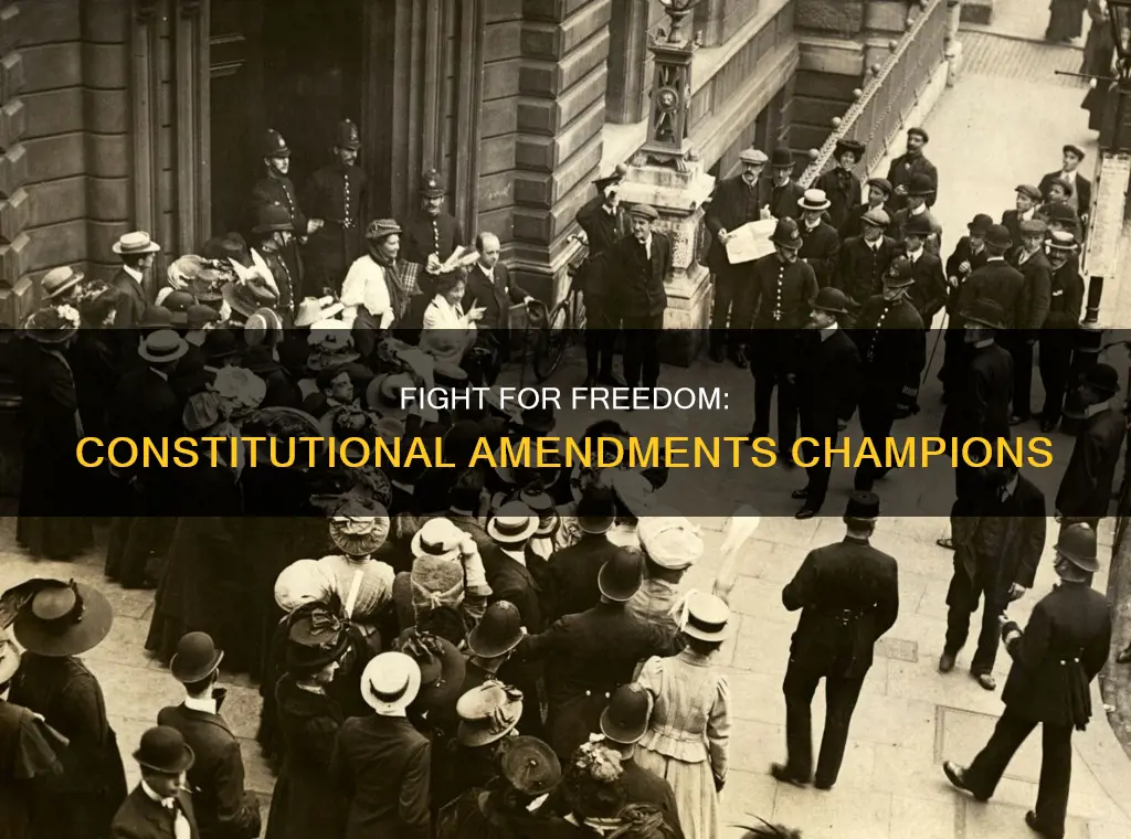 who fought for constitutional amendments