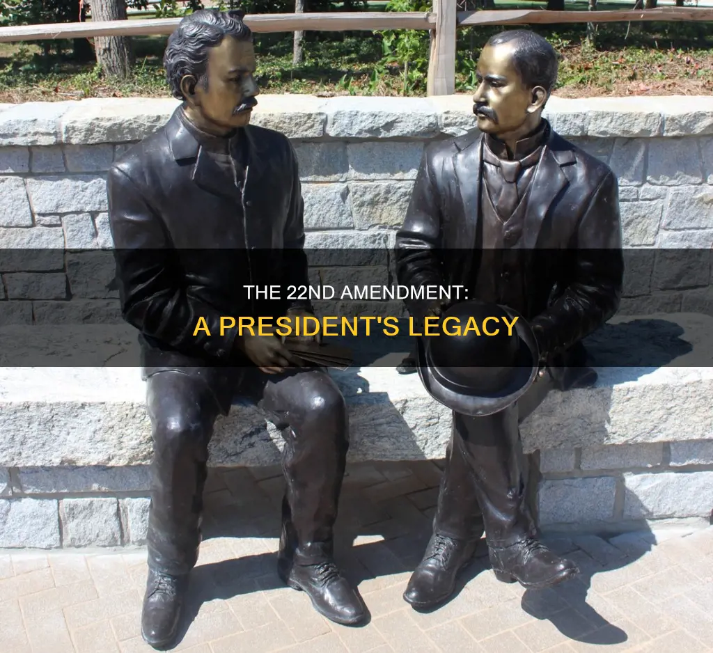 who founded 22nd amendment of constitution