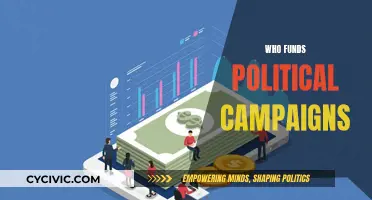 Money in Politics: Who Funds Campaigns?