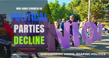 Rising Power: Who Gains Strength as Political Parties Decline?