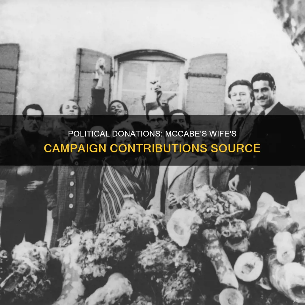 who gave mccabes wife her political campaign ckntrabutiin