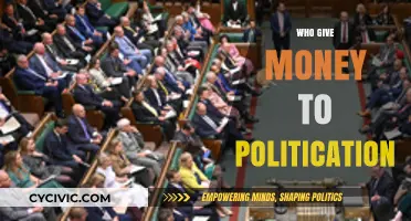 Unveiling Political Funding: Who Finances Politicians and Why It Matters