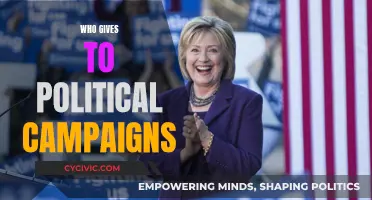 Political Campaign Donors: Who Are They?