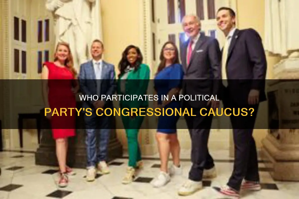 who got to participate in a political party