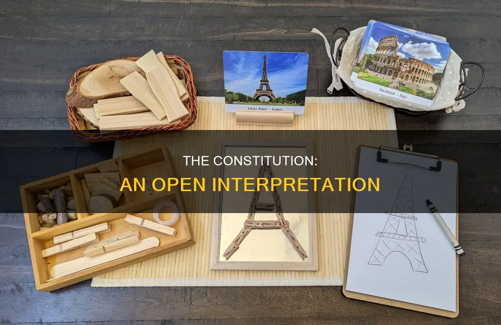 who had an open view of the constitution