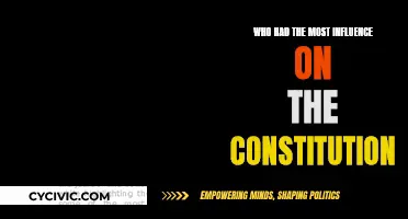 Influencers of the Constitution: Who Shaped America's Future?