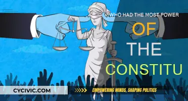 The Constitution: Power Dynamics and Key Players