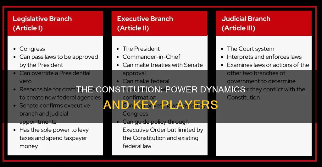 who had the most power of the constitution