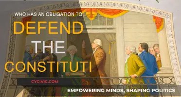 Defending the Constitution: Our Collective Duty