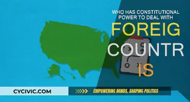 Foreign Policy Powers: Who Decides?