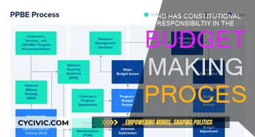 The Executive's Role in Budget-Making