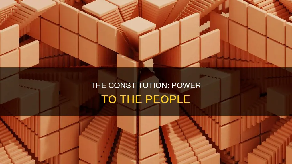 who has political power accoridng to the constitution