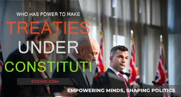 The President's Treaty Power: Who Has the Final Say?