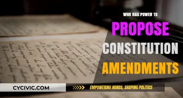 The Power to Propose Constitutional Amendments