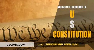 The US Constitution: Who Does It Protect?