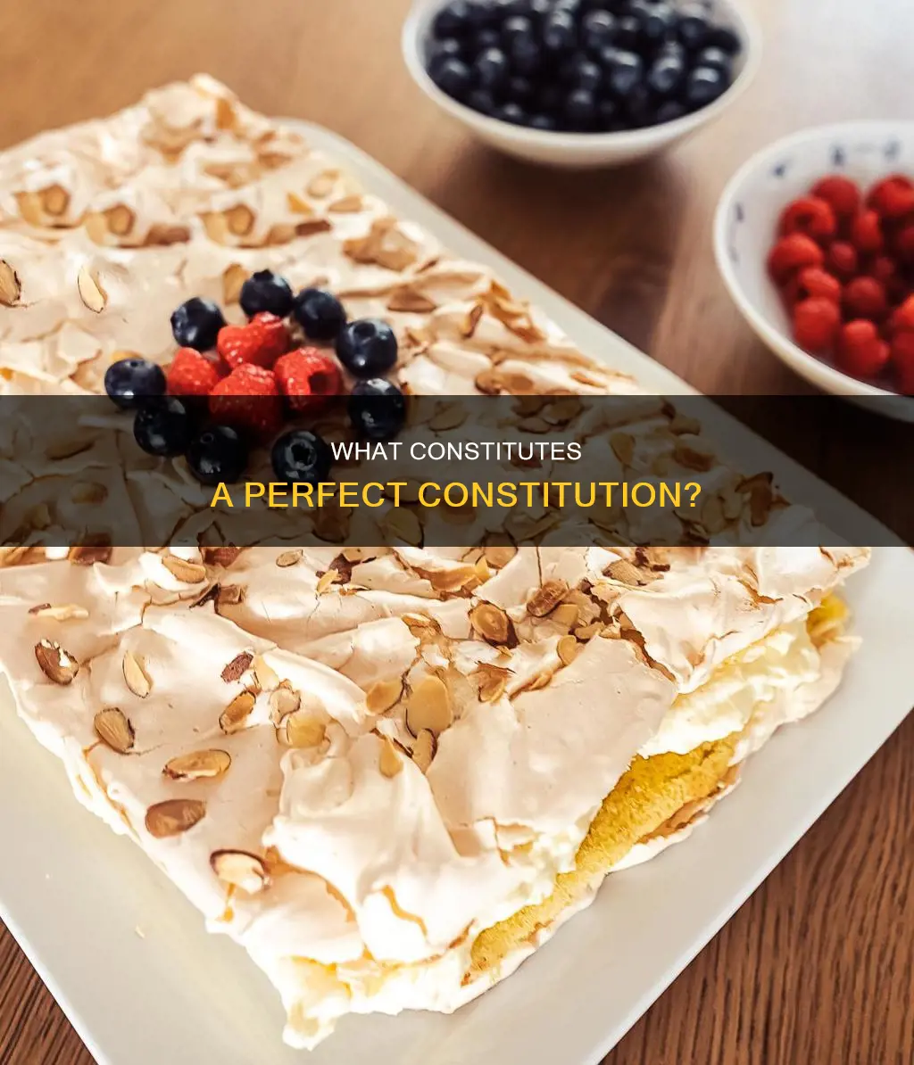who has the best constitution in the world