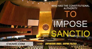 Sanctions and the Constitution: Who Holds the Power?
