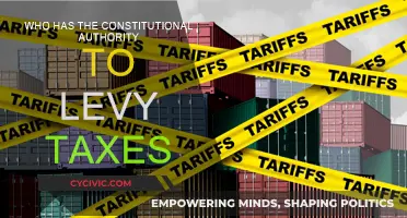 The Power to Levy Taxes: Who Rules?