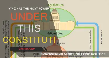 The Constitution: Power Dynamics and Checks