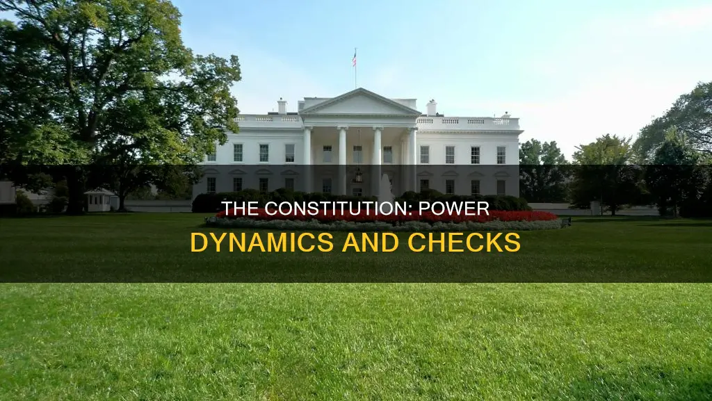 who has the most power under this constitution