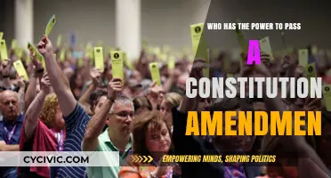 The Power to Pass Constitutional Amendments