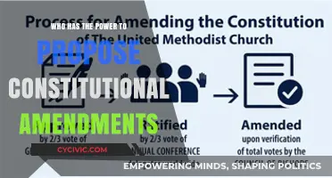 The Power to Propose: Constitutional Amendments