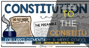 The Power to Tax: A Constitutional Question