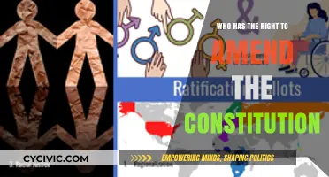The Constitution: Who Holds the Power to Amend?