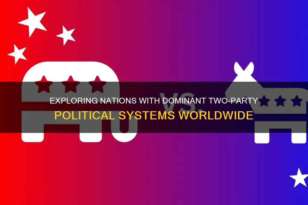 who has two party political systems