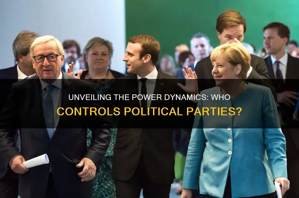 who holds power in political parties