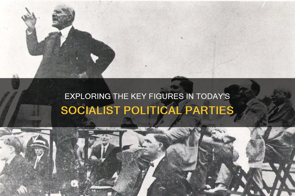 who in politics are in the socialist party