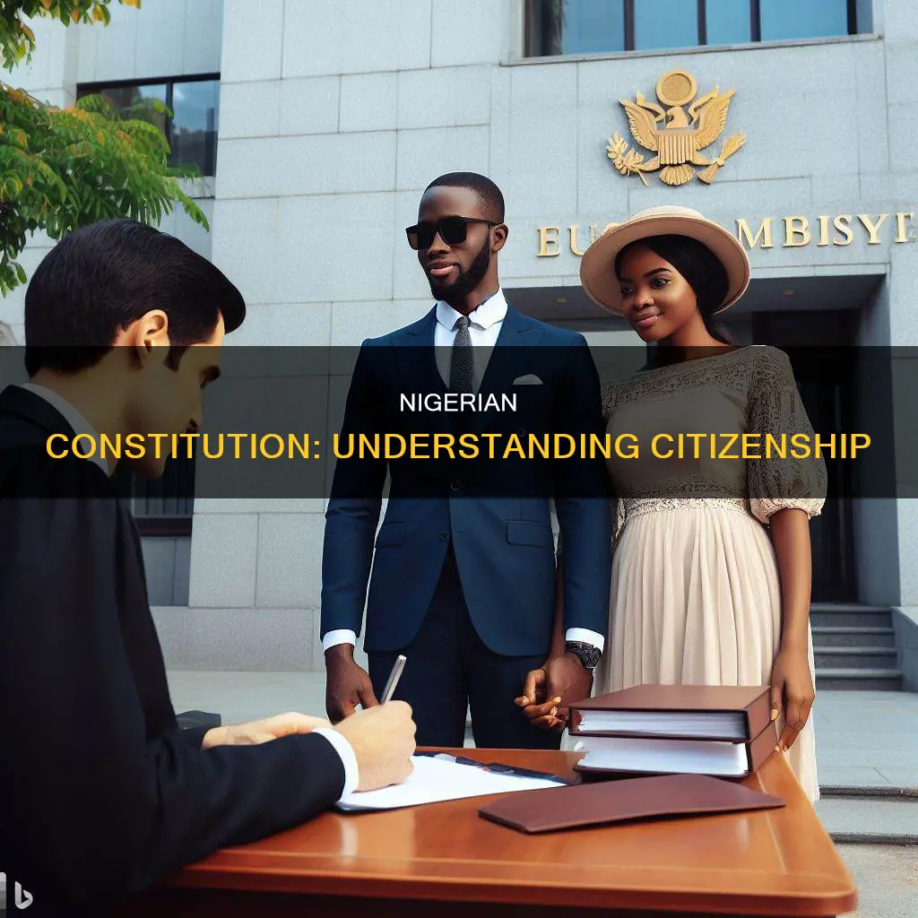 who is a citizen according to nigerian constitution