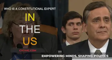 US Constitutional Experts: Who Are They?