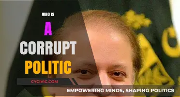 Unveiling the Face of Corruption: Identifying Dishonest Politicians