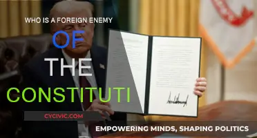 Foreign Enemies of the Constitution: Who Are They?