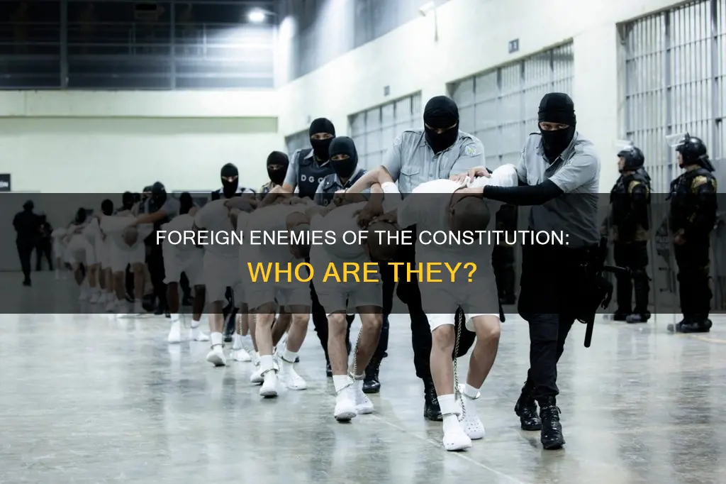 who is a foreign enemy of the constitution