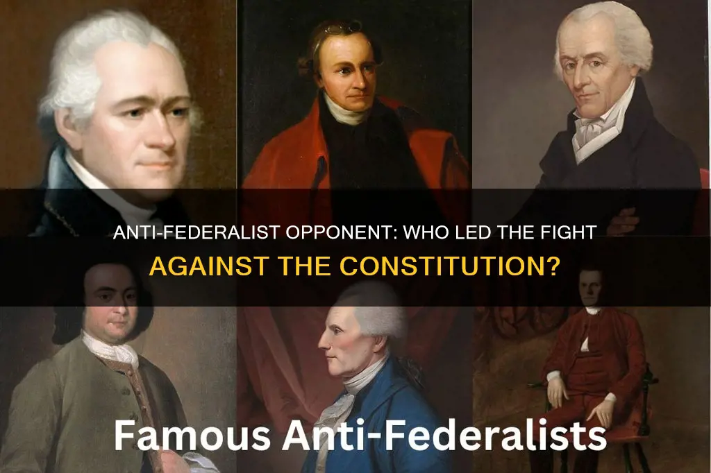 who is a leading anti-federalist opponent of the proposed constitution
