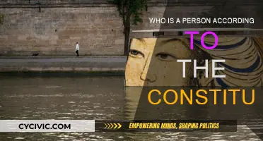 What Defines a Person? Constitutional Identity Explored