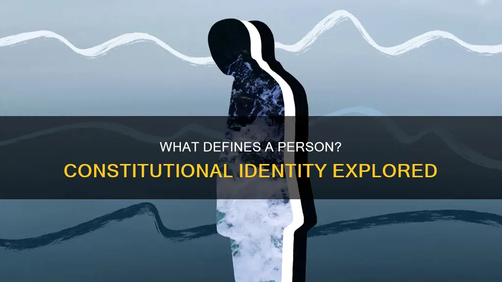 who is a person according to the constitution
