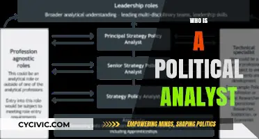 Understanding the Role and Impact of a Political Analyst