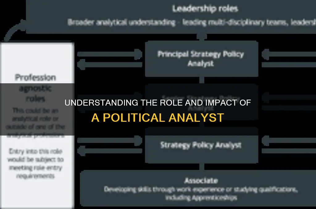 who is a political analyst